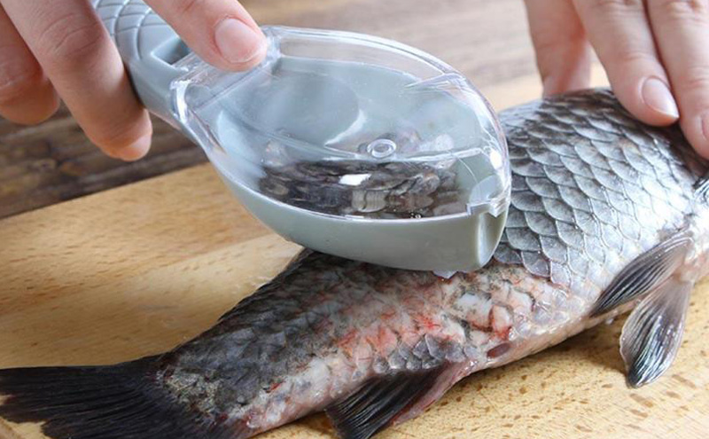 The 5 Best Fish Scalers of 2023