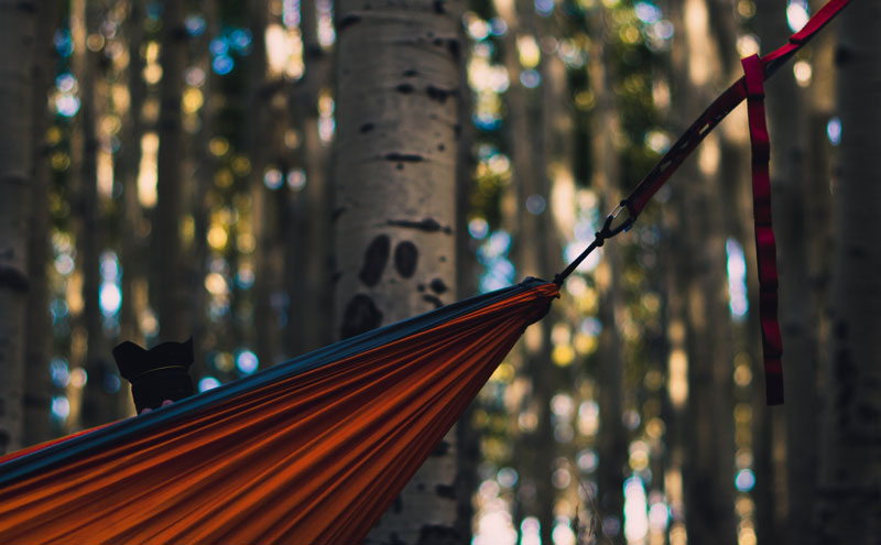 The 5 Best Hammock Straps of 2023