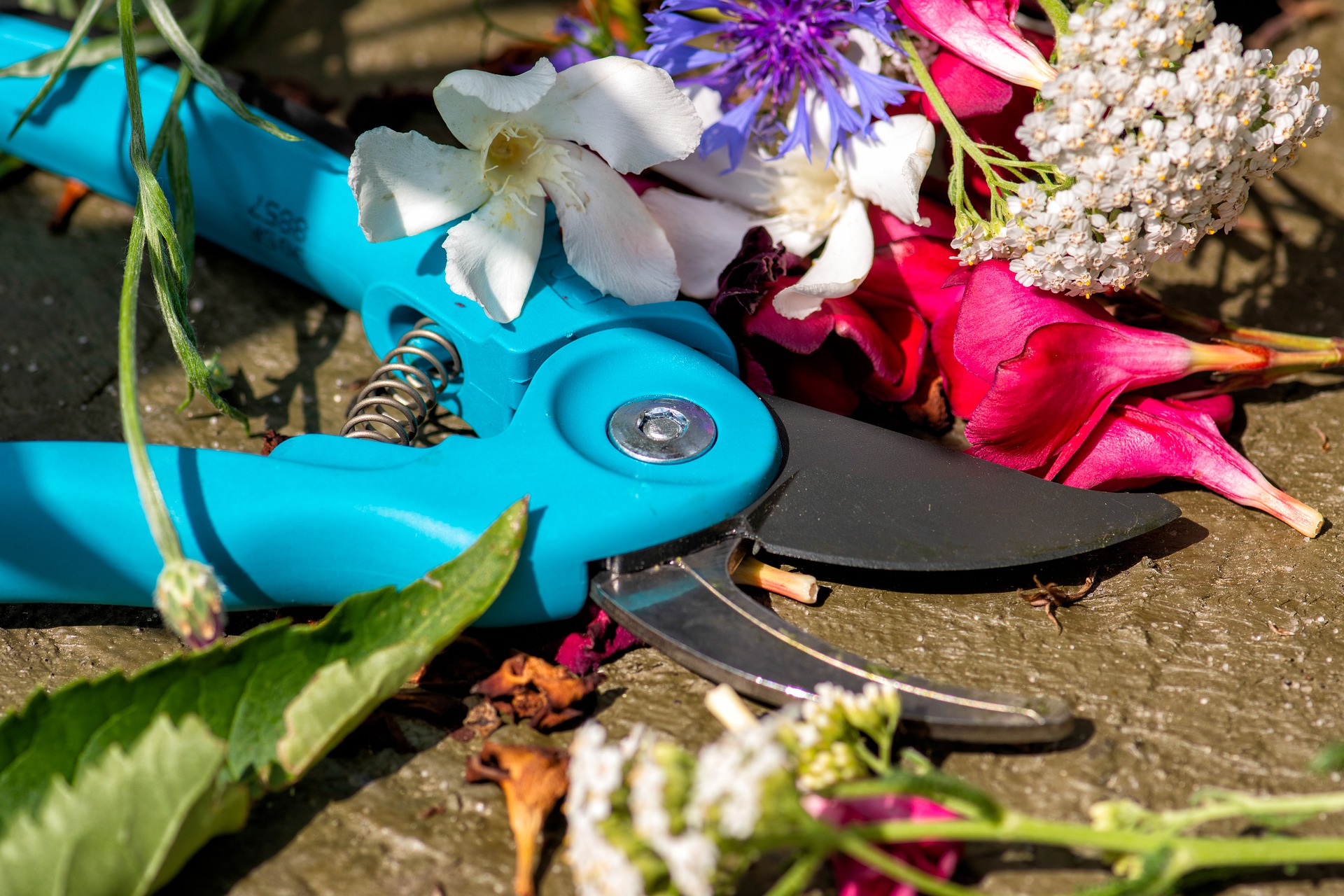 The 9 Best Garden Scissors of 2023