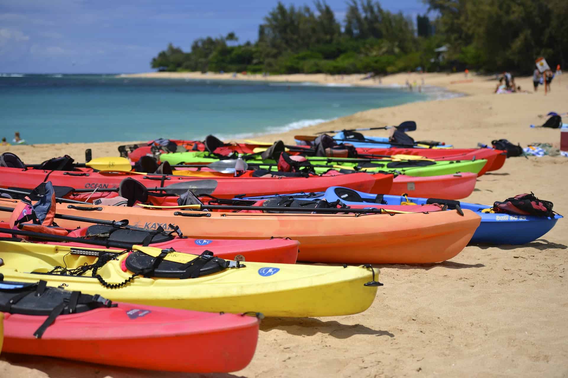 Kayaks lined up on shoreline