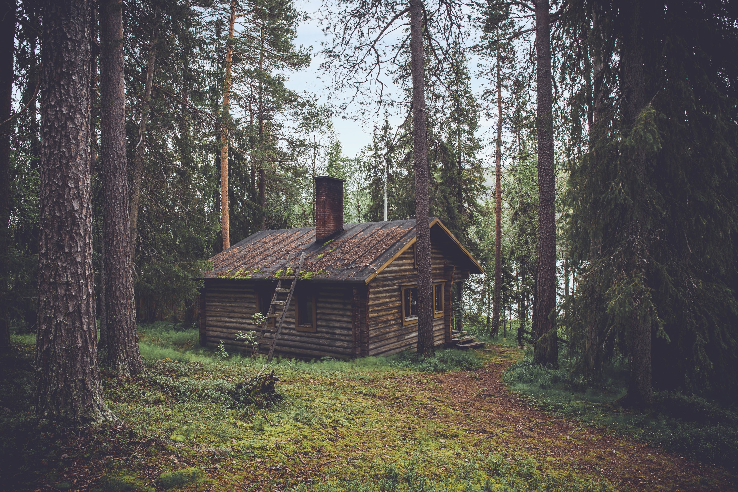 log cabin