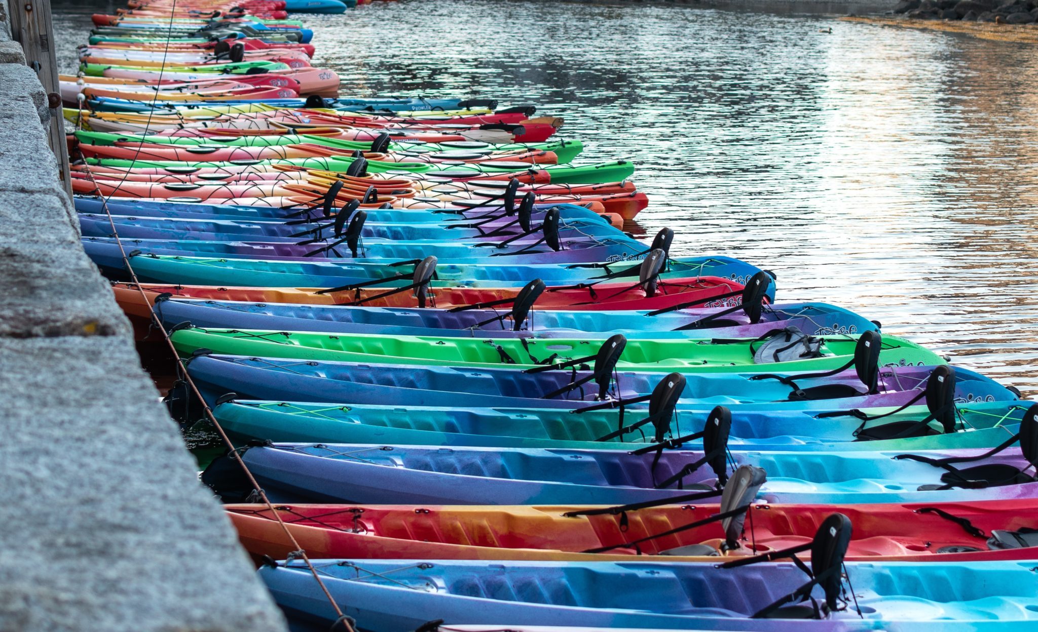 Row of kayaks lined up by the water.