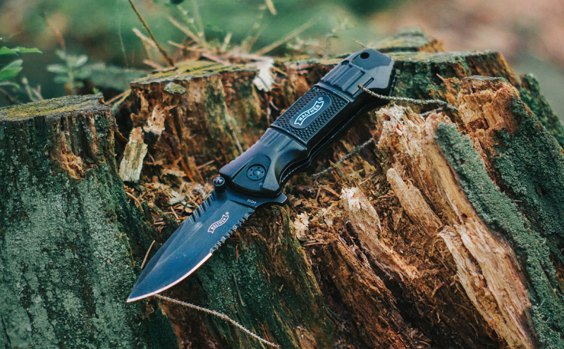 Pocket knife on tree stump.