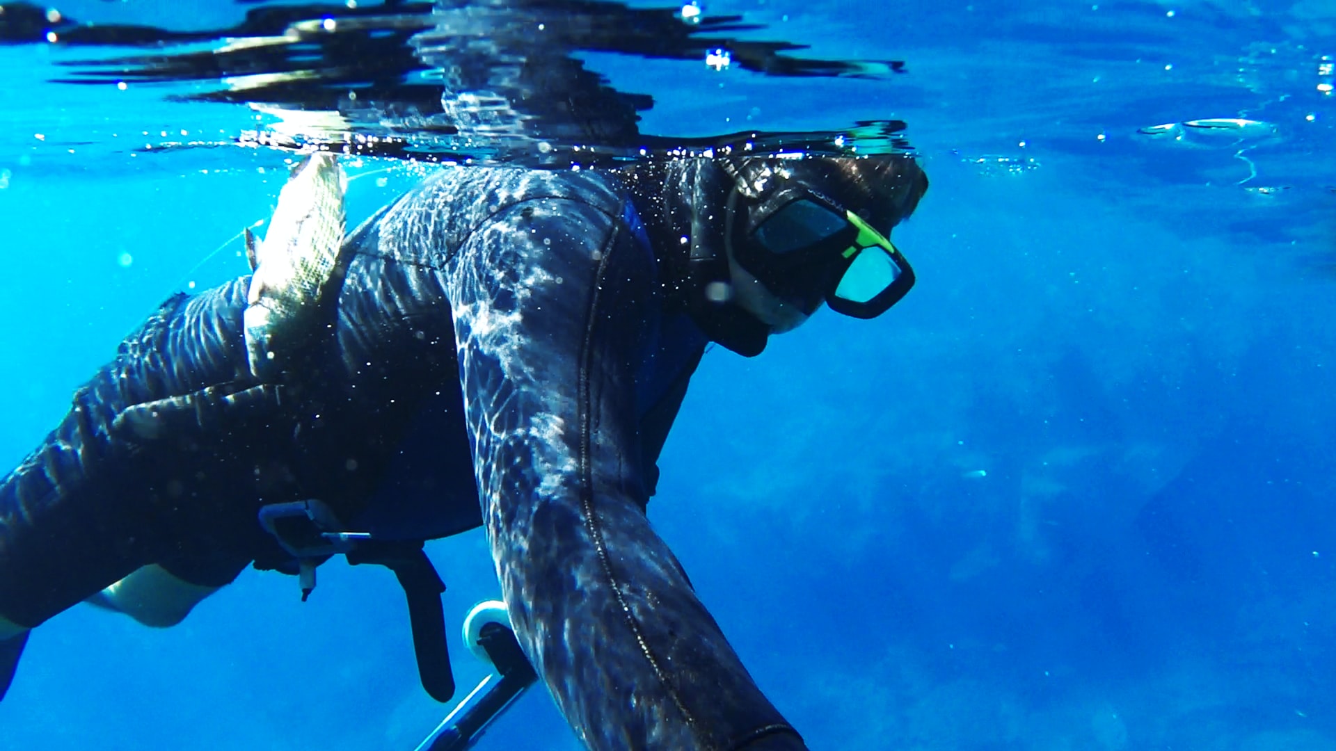 The 5 Best Spearfishing Snorkels of 2023