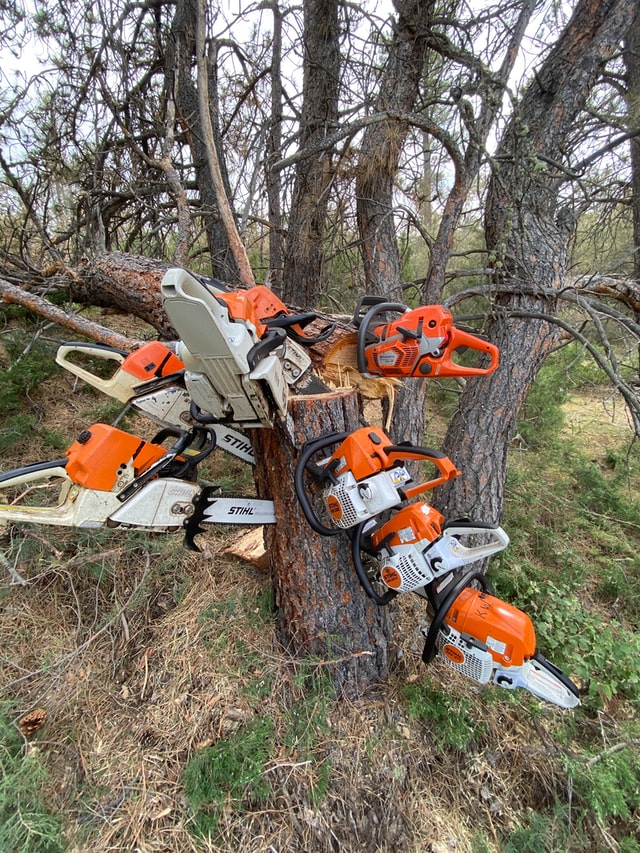 Stihl vs Echo Powered Yard Tools: The Full Review