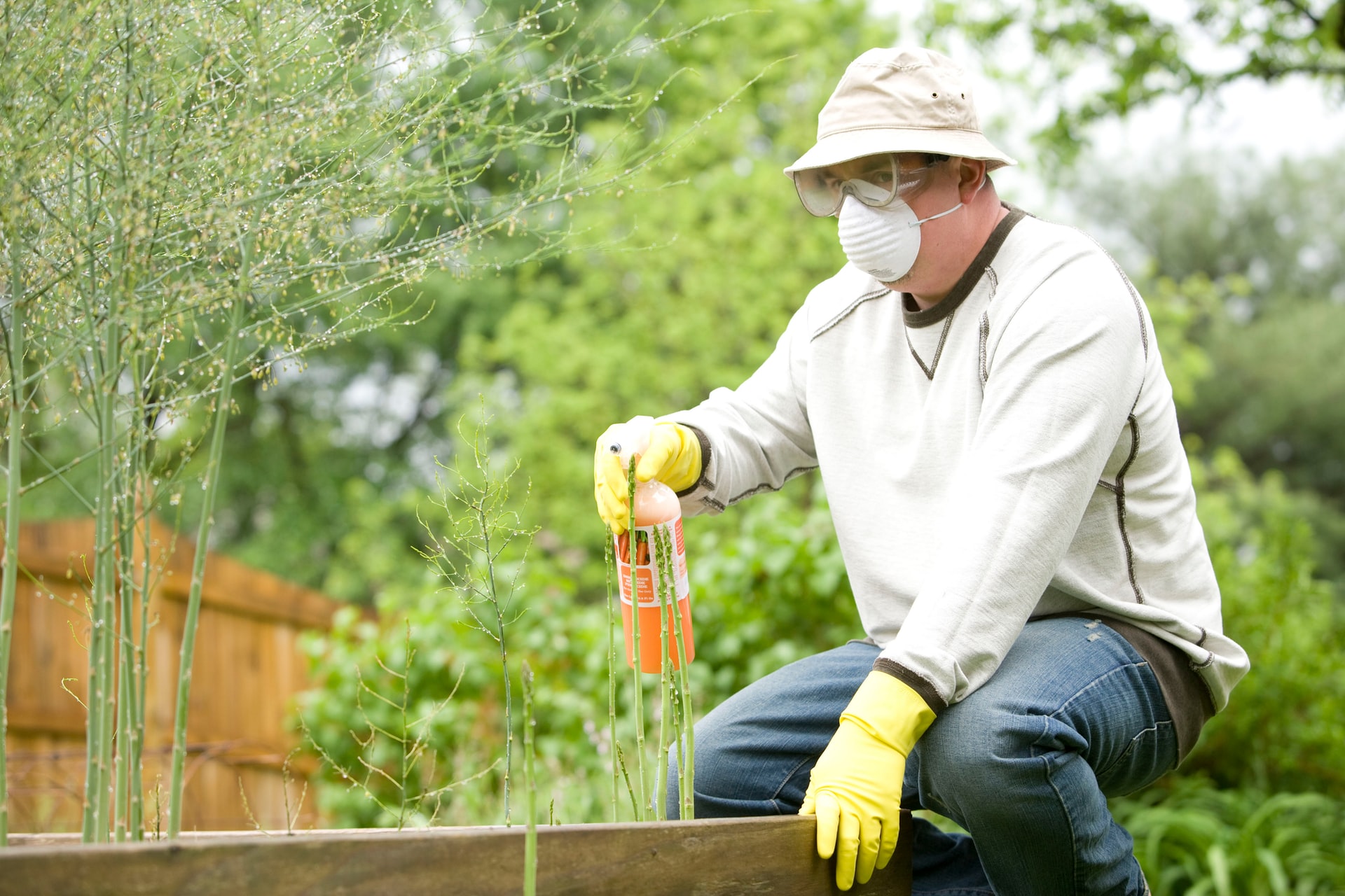 4 Milorganite Alternatives for Your Lawn: Top Picks & What to Look for