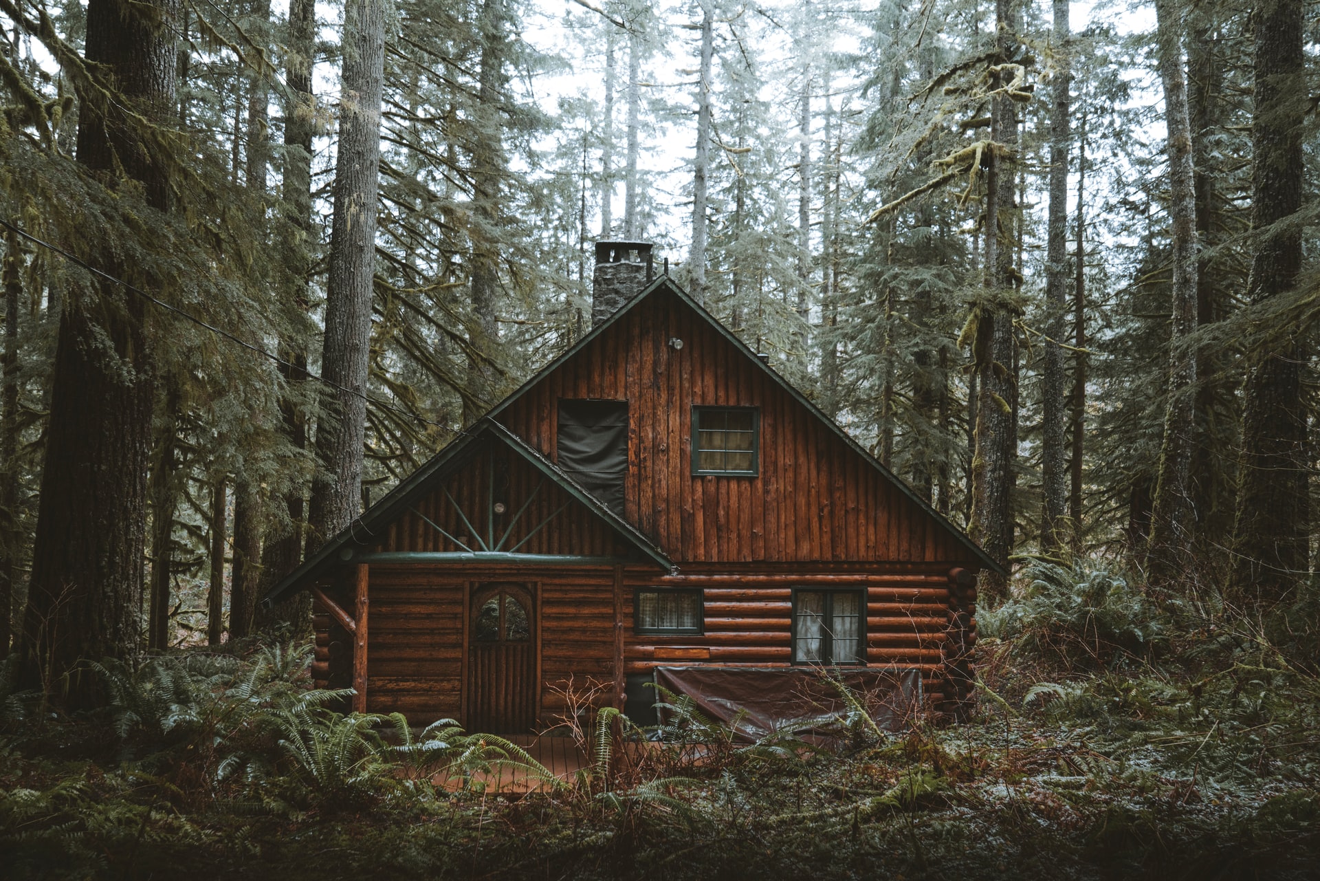 How Long Do Log Cabins Last?