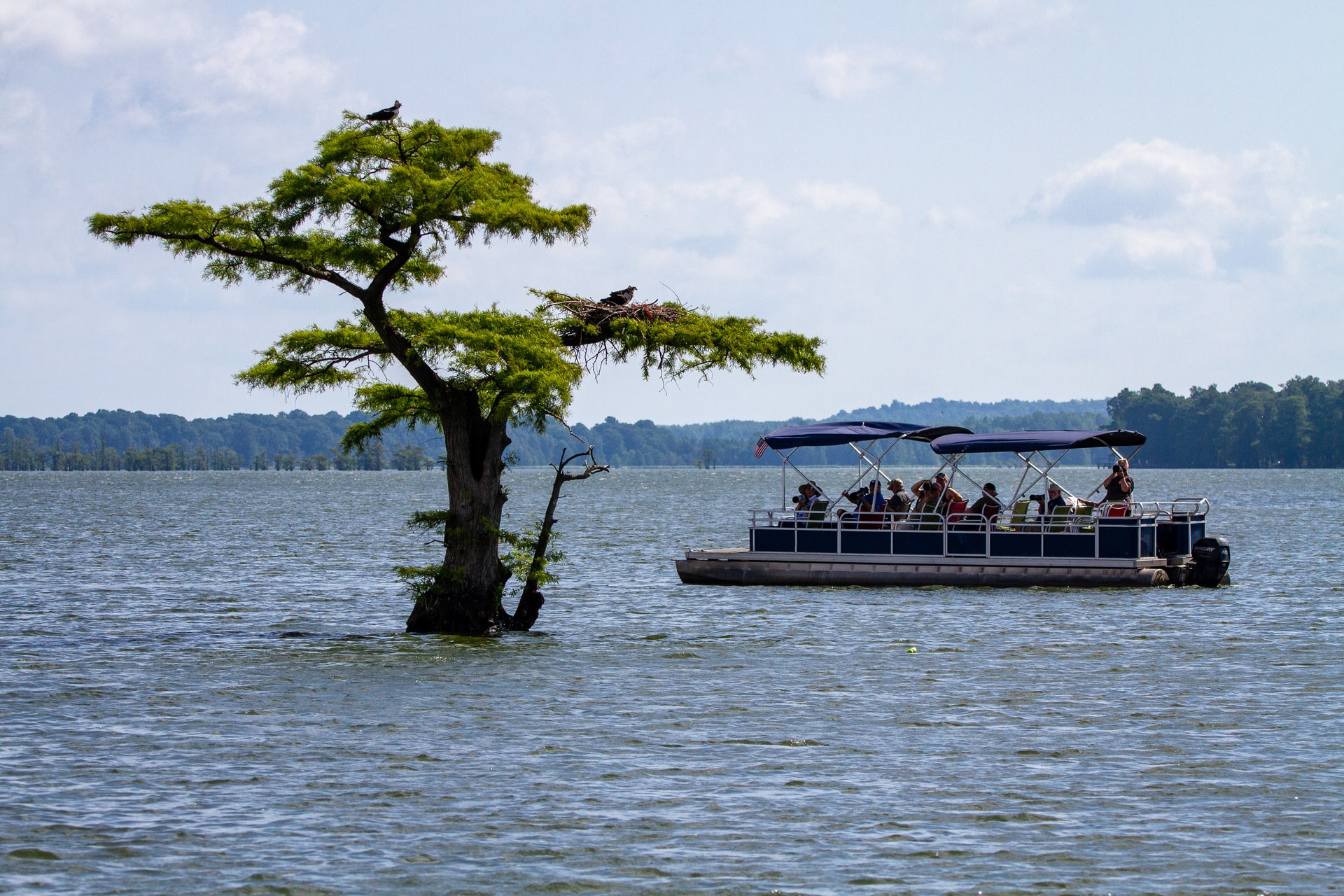 How Wide is a Pontoon Boat?