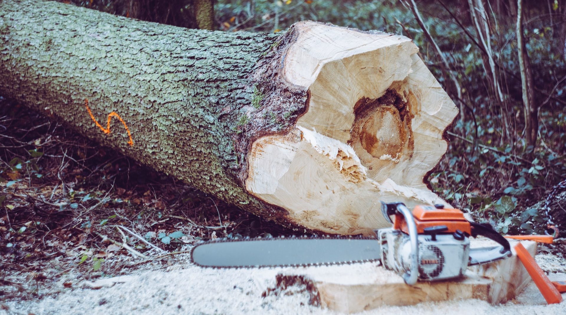 Stihl MS 180 vs. 170: The Ultimate Comparison