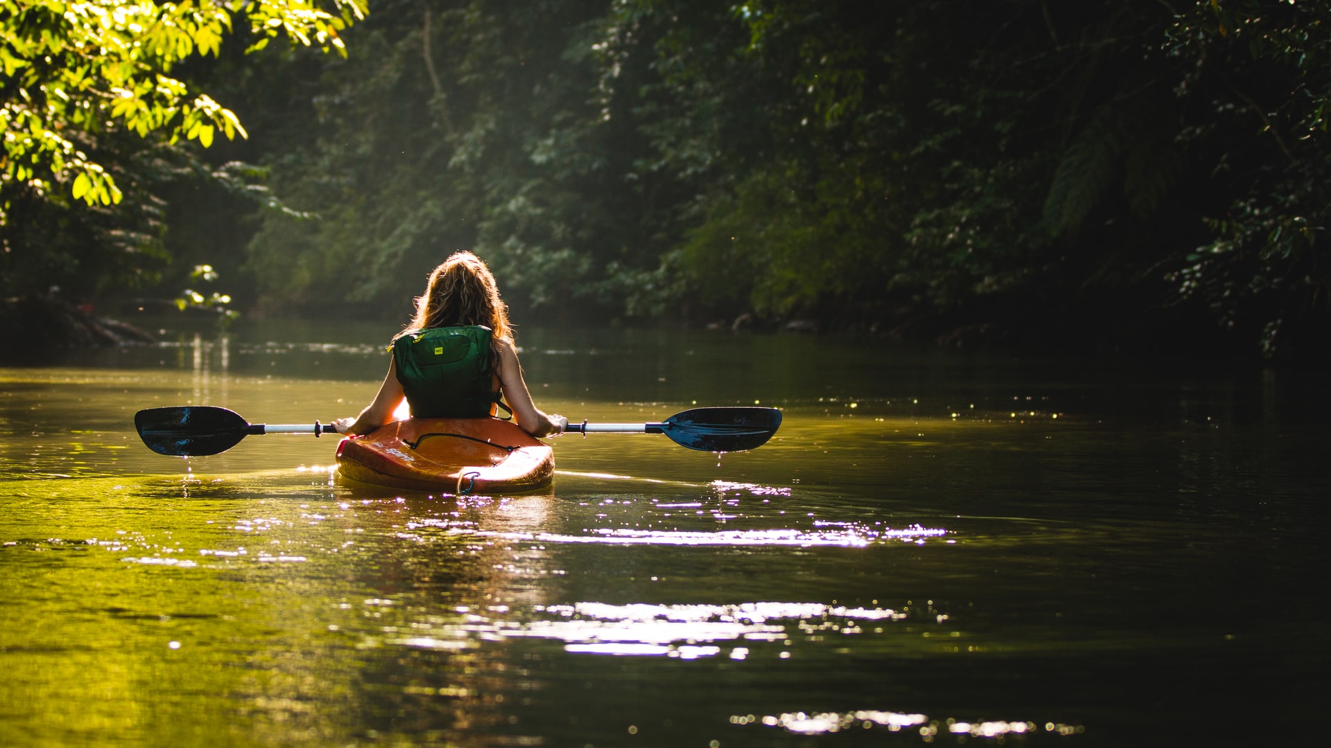 VE Paddles vs. Werner: Which Is Better?