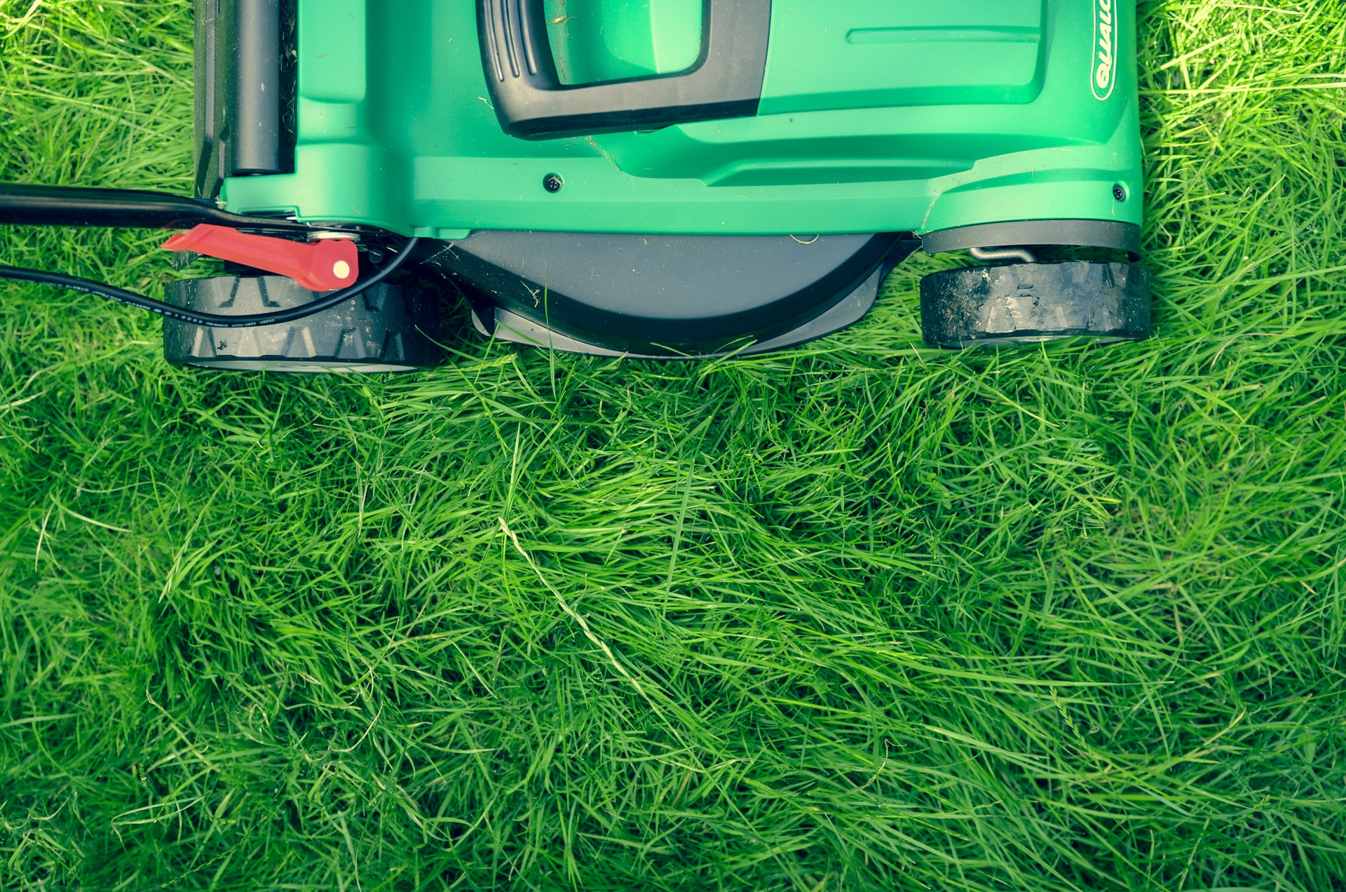 Greenworks vs. EGO Lawn Mowers: Which is the Better Option?