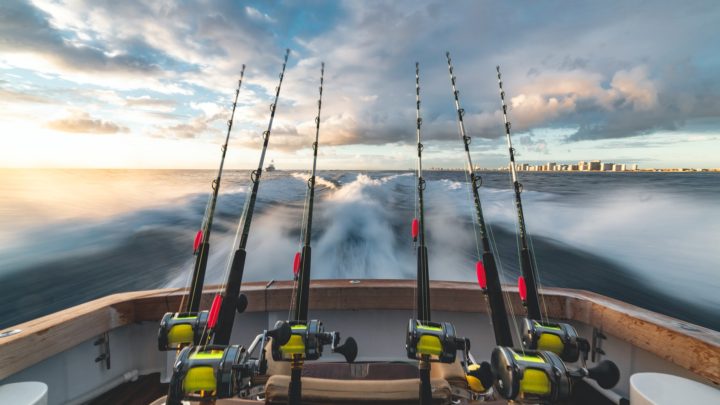 The 3 Best Fish Finders for Bass Boats